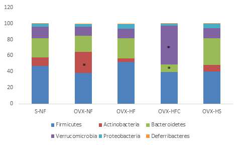 Microbiome composition. 1S-NF, sham-operated mice fed with normal fat diet; OVX-NF, ovariectomized mice fed with normal fat diet; OVX-HF, ovariectomized mice fed with high fat diet; OVX-HFC, ovariectomized mice fed with high fat/cholesterol diet; OVX-HS, ovariectomized mice fed with high sucrose diet