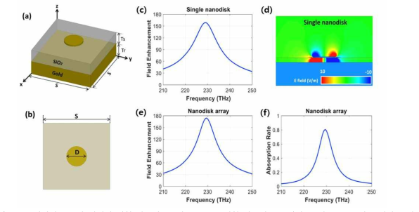 (a) 접지된 SiO2와 설계된 원형 나노디스크의 구조. (b) 원형 나노디스크 직경 (D)이 235 nm이고 기판 크기 (S)가 1.3 μm 인 평면도 (x-y 평면). (c) SiO2 두께 (Ts)가 40 nm인 단일 나노 디스크의 필드향상계수. (d) 디스크 중심축을 따라 x-z 평면에서 계산한 필드 분포 (Ez). 같은 크기의 원형 디스크가 1 ㎛ 간격으로 배치된 나노 디스크배열의 (e) 필드향상계수 및 (f) 흡수율