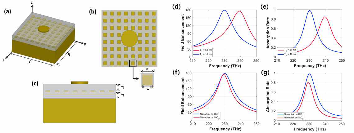 (a) 8 x 8 반응성 임피던스 표면 (RIS) 패치 위에 설계된 나노디스크의 개략도. (b) RIS 패치 어레이의 패치폭 (W)이 60 nm이고 패치 주기성 (D)이 125 nm 인 구조의 평면도 (x-y 평면). (c) 패치 어레이의 상부 및 하부에 위치한 SiO2의 두께(T1 = T2 = 50 nm)를 보여주는 측면도 (y-z 평면). (d) RIS 패치 어레이와 결합된 나노 디스크 배열의 필드향상계수 및 (e) 흡수율 (청색 선: T1 = 10 nm, 적색 선: T1 = 50 nm, 두 경우 T2는 50 nm 로 고정됨). RIS(T1 = 10 nm 및 T2 = 50 nm)와 디스크 배열이 결합된 구조 및 40 nm 두께의 SiO2 기판에 설계된 디스크 배열의 (f) 필드향상계수 및 (g) 흡수율 비교