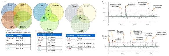 GRP panel과 G-MAD를 이용한 Crif1의 상관 유전자 및 관련 경로 예측