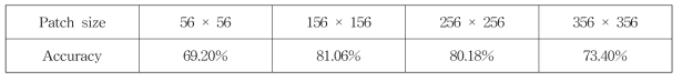 미세 조정의 정확성 대 패치 크기.패치 크기가 원래 이미지의 약 30-50%를 차지할 때 성능이 가장 좋다