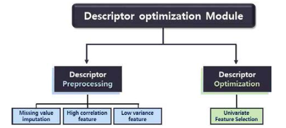 Descriptor Optimization 모듈의 구성도