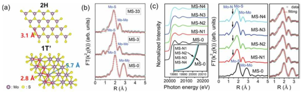 (a) 2H 상과 1T‘ 상의 MoS2 구조 (b) DMPD가 삽입된 MoS2의 EXAFS 데이터 알킬아민이 삽입된 MoS2의 XANES 및 EXAFS 데이터