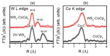 코발토센(CoCp2)이 삽입된 WS2의 (a) W L3 edge 및 (b) Co K edge EXAFS 데이터
