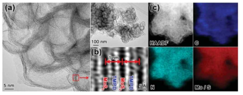 TMPD 분자가 삽입된 MoS2의 TEM 이미지와 EDX 맵핑 데이터
