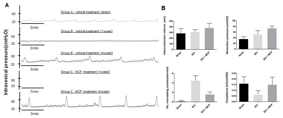 Modified citrus pectin 투여 후 신경인성방광에서 cystometry의 변화