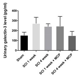 Modified citrus pectin 투여 후 신경인성방광 벡서에서 요중 Galectin-3 농도변화