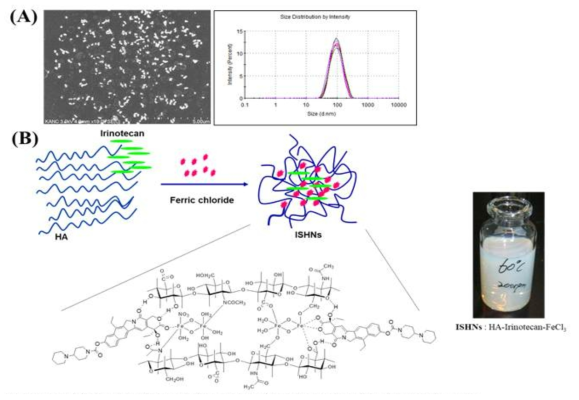 이리노데칸을 함유한 자가 응집 히알루론산 나노 입자 모형도