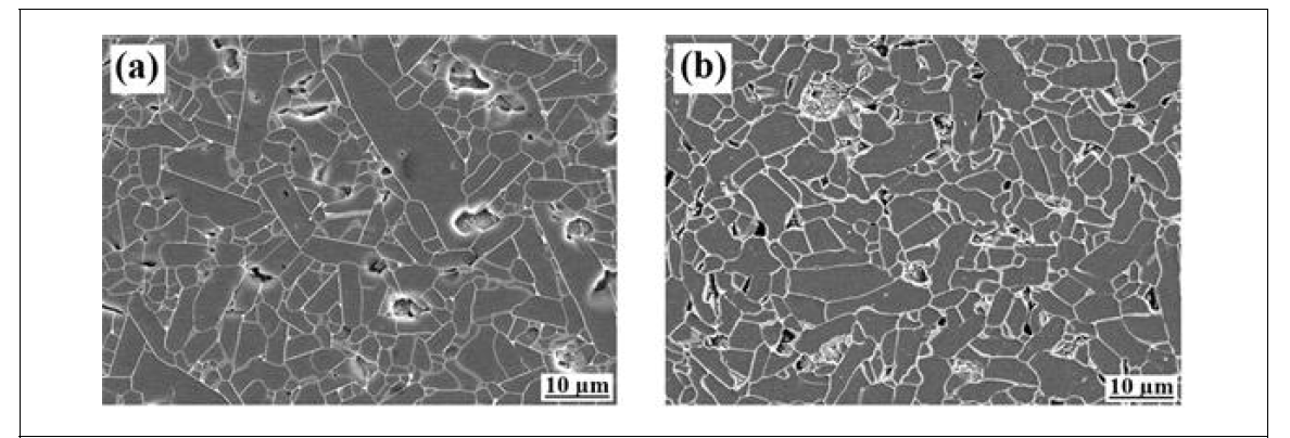 Typical microstructures of the SiC-BN composites sintered with various additive systems: (a) SBN-YSc, (b) SBN-YbM, (c) SBN-YbC, and (d) SBN-AAY (refer to Table 5). (continued)