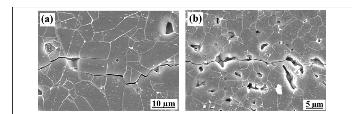 Crack-microstructure interaction in the SiC-BN composites sintered with various additives: (a) SBN-YSc and (b) SBN-AAY