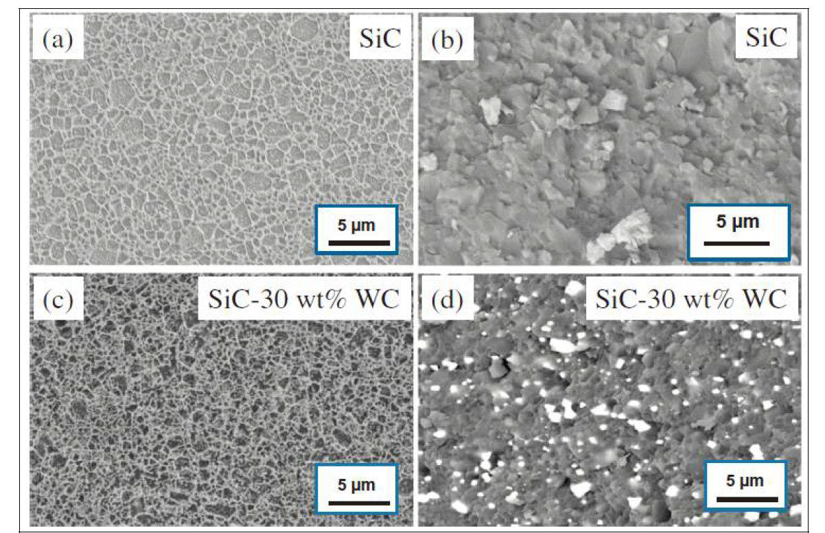 SEM image of etched and fractured surfaces of monolithic SiC ceramics (a and b), and SiC-30 wt% WC composites (c and d)