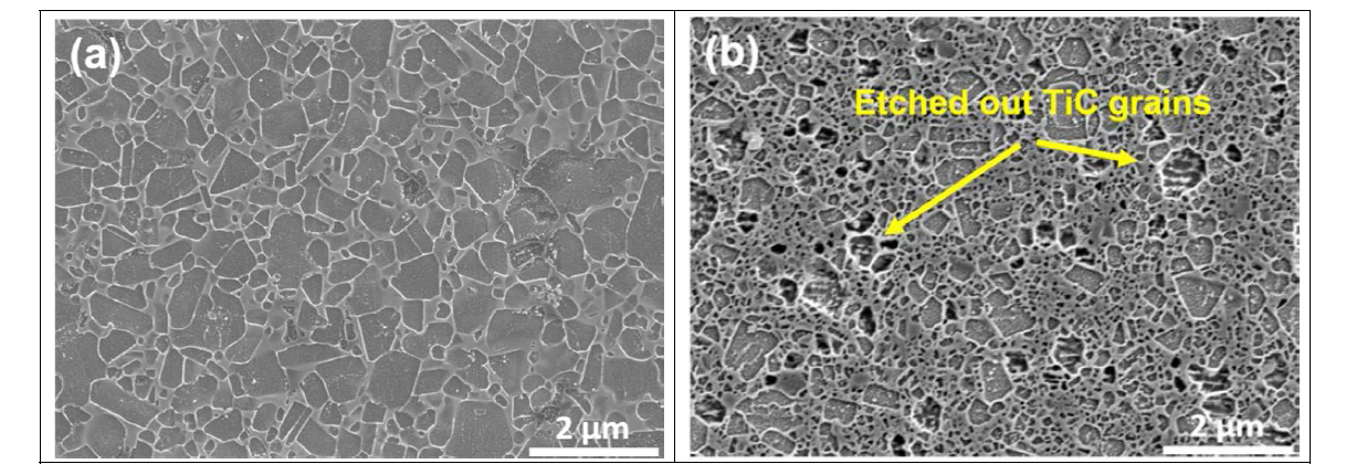 Typical microstructures of (a) SCT0 and (b) SCT20