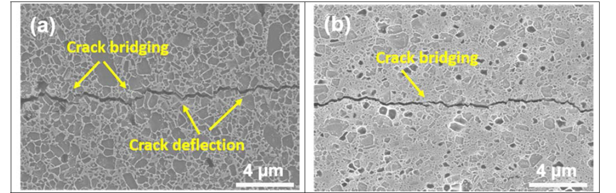 Crack paths induced by Vickers indentation in monolithic SiC and SiC-20 vol% TiC composites
