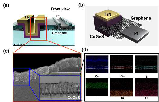 (a) 3D 수직 구조에서 graphene-edge electrode를 갖는 Cu 기반의 Chalcogenide selector의 개략도. (b) graphene-edge electrode가 있는 selector의 등방도. (c) RRAM 디바이스의 SEM 이미지, scale bar : 200 nm. 삽입도 : HR-TEM 이미지; scale bar : 50 nm. (d) 디바이스 cross-section의 EDS mapping. Cu : 청색, Ge : 적색, S : 에메랄드, Ti : 녹색, Si : 주황색, O : 분홍색