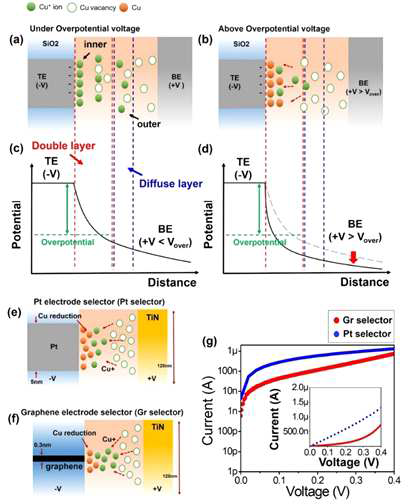 (a), (b) 과전 위와 비교할 때 (a) 더 낮은 바이어스 및 (b) 더 높은 바이어스에서의 selector의 동작 메커니즘. (c), (d) 과전 위와 비교할 때 (c) 더 낮은 바이어스 및 (d) 더 높은 바이어스에서의 selector의 전위 분포. (e), (f) Pt 및 grapene chalcogenide selector의 동작 메커니즘. (g) Pt 및 graphene 기반 selector의 I–V 특성
