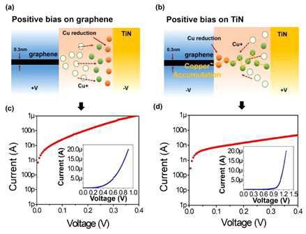 상반된 극성을 나타내는 graphene chalcogenide selector의 I-V 특성. (a) graphene 및 (b) TiN 전극에 각각 양의 바이어스를 가한 이온 이동의 디바이스 개략도. (c) graphene 및 (d) TiN 전극에 각각 양의 바이어스를 가한 이온 이동의 I-V 특성