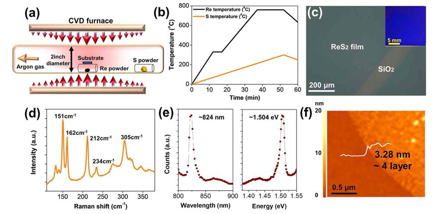 CVD를 이용한 대면적 ReS2 필름 합성 및 분석. (a) CVD 공정의 개략도 (b) CVD 합성 과정에서의 Re 와 S 의 온도 (c) 합성된 대면적 ReS2 필름의 사진과 현미경, (d) 라만분광 분석, (e) 형광분광 스펙트럼 분석과 (f) 원자력 현미경 분석 결과