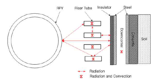 RPV와 공기냉각 RCCS 모델