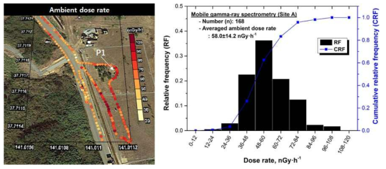 백팩 이동탐사를 통한 Site A 부지 부근에서의 평균 공간감마선량률