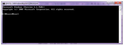 전형적인 CMD 프로그램 실행 화면 예제