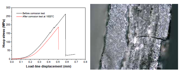 1600℃, 5시간 노출 후 후프 강도의 변화 및 국부적인 균열 형성