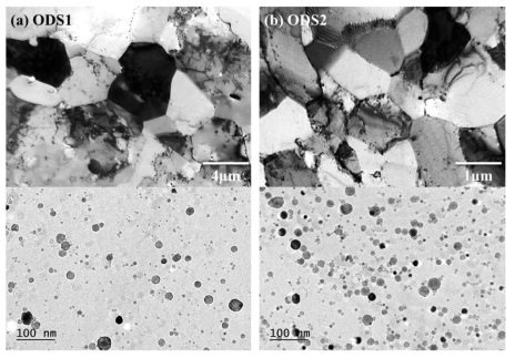 고강도 페라이트계 ODS 신합금의 미세조직