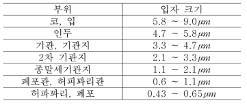 입자크기별 침적부위