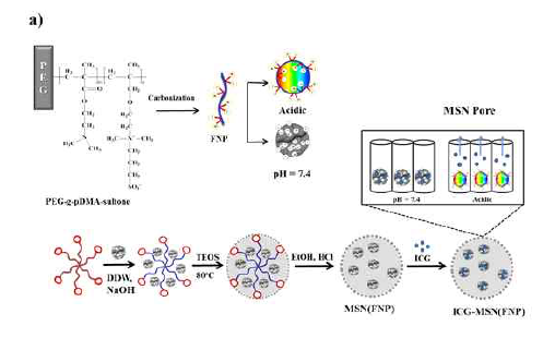 Schematic diagrams of (a) synthesis and preparation of ICG-MSN(FNP)