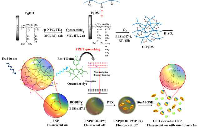 Illustration of the tumor triggered fluorescent on/off imaging with PTX release guided redox responsive matrix drug delivery system