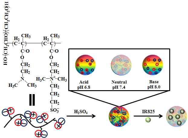 Schematic diagrams of IR825 loaded pH reversible zwitterionic fluorescent nanoparticles