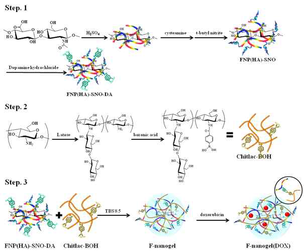 Schematic illustration of the overall strategy for the synthesis of F-nanogel(DOX)