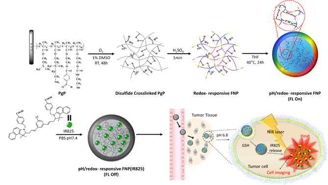 Synthesis route of FNP(IR825) for versatile fluorescence resonance energy transfer exogenous triggered on/off imaging diagnosis guided NIR mediated killing effect for cancer therapy system