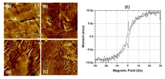 Fe(100) 기판 위에 성장시킨 그래핀의 Magnetic force microscopy (MFM) 이미지. 두께 : (a) 2, (b) 8, (c) 10, (d) 13 층. 밝은 곳과 어두운 곳은 magnetic phase 의 차이를 나타낸다. (e) SiO2 기판으로 이송시킨 그래핀의 m-H loop이고, 이것은 반자성 (AFM)과 강자성 (FM)이 섞여 있는 것으로 관찰된다