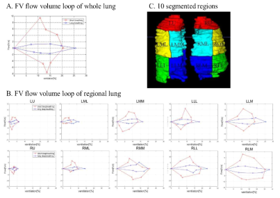 폐 전체에 대한 폐 분할 환기율-볼륨 루프 (Fractional ventilation flow-volume loop) 루프 (A), 10개의 구획 각각에 대한 분할 환기율-볼륨 루프 (B), 나누어진 10개의 폐 구획을 나타내는 그림 (C)