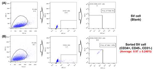 Flow cytometry sorting result of SV cells (CD34+, CD45-, CD31-) derived from muscle of Korean native steers. (A) The blank of SV cells (no antibodies attached) for sorting was collected by the APC channel, then collected again by the FITC and PE channel. Finally, the frequency of target cell was calculated. (B) SV cells were first sorted by CD34+ (ATTO/APC) cell surface marker, then sorted by the CD45- (PE) and CD31- (FITC) cell surface markers. Finally, the frequency of CD34+/CD45-/CD31- was calculated