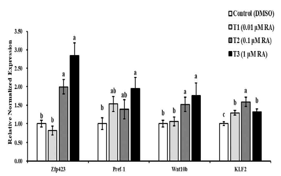 Gene expression level by real time qPCR for preadipocyte related markers after 90% confluence in CD34+, CD45-, CD31- sorted SV cells (by FACs) treated with all-trans RA during the growth stage (90% confluence). Values (mean ± SEM) in different letters (a,b,c) differ significantly (p < 0.05). SV cells were treated with control: DMSO, T1: 0.01 uM RA, T2 0.1 uM RA, T3: 1 uM RA during the growth stage. The mRNA level of Target genes mRNA on 90% of confluence