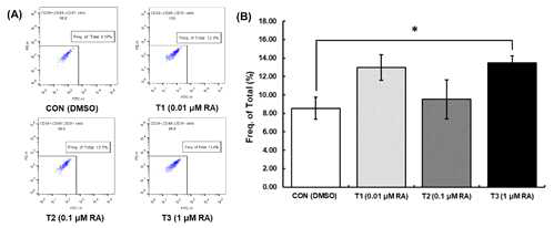 Flow cytometry gating hierarchies and dot plots images from sorted SV cells (CD34+, CD45-, CD31-) treated with all-trans RA during the growth stage (90% confluence). Values (mean ± SEM) with asterisk (*) differ significantly when compared to control group (p < 0.05). SV cells were treated with control: DMSO, T1: 0.01 uM RA, T2 0.1 uM RA, T3: 1 uM RA during the growth stage. (A) The were represented and the frequency was calculated. (B) The frequency of CD34+/CD45-/CD31- marked SV cells were displayed by a histogram in each group