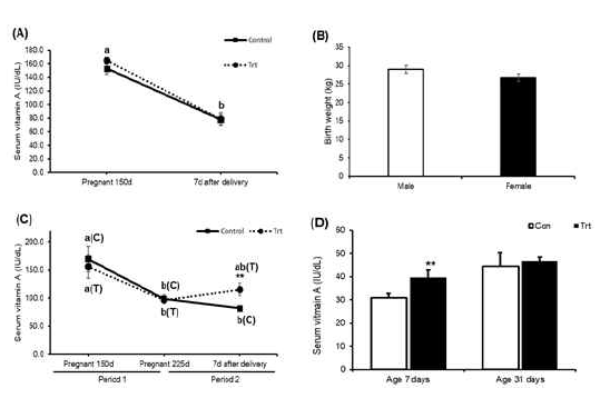 Changes in the concentration of serum VA through VA supplementation in pregnant cattle and in calves. A-B: In the preliminary experiment, changes in serum VA (IU/dL) through the addition of VA (24,000 IU/day) for 75 days in pregnant cattle. B: Serum VA levels in 7-day-old calves □ control group (n = 18), ■ treatment group (n = 8). C-D: In the main study, changes in serum VA (IU/dL) through the addition of VA (24,000 IU/day) from days 150 to 225 of gestation and 78,000 IU/day from day 225 until parturition in pregnant cattle. C: In pregnant cattle, blood sampling was performed 3 times (pregnancy day 150, pregnancy day 225 and 7 days after delivery). D: In calves, blood sampling was performed 2 times (age 7 days and age 31 days). □ control group (n = 7), ■ treatment group (n = 5). Mean ± SE, ** p<0.05 indicates a significant difference between the groups; a,b indicate that the means of each group are significantly different among the experimental period, (C) control group, and (T) treatment group