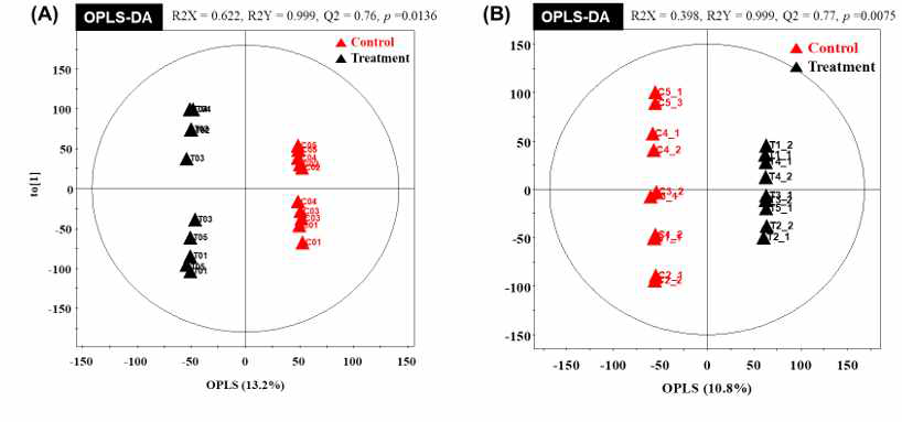 OPLS-DA(partial least squares discriminant analysis) score plot and isolated metabolic parameters (VIP>1.0) of the control group(▲ red triangles) and treatment group (▲ black triangles) in serum and longissimus muscle. (A) The figure showed OPLS-DA analysis in serum. (B)The figure showed OPLS-DA analysis in longissimus muscle