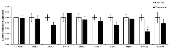 Expression of mRNA target genes in longissimus muscle of weaned calves after supplementation vitamin A. Vitamin A supplementation was 40,000 IU/KG in Feed for 3 to 6 months after weaned. The qPCR values are shown as expression fold changes after normalization against the control 18s rRNA. □: Control group (n = 9), ■: Treatment group (n = 10). Data are performed as the mean ± standard error. *p < 0.05 vs. Control values. The full names of genes are catenin beta-1 (CTNNB1), extracellular signal-regulated kinase 1/2 (ERK1/2), preadipocyte factor-1 (Pref-1), zinc finger protein 423 (Zfp423), myogenic factor 6 (MYF6), myoblast determination protein (MyoD), Myogenin (MyoG), peroxisome proliferator-activated receptor gamma (PPARγ), fatty acid binding protein 4 (FABP4)