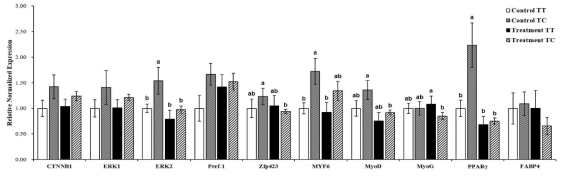 Expression of mRNA target genes in longissimus muscle of weaned calves based on ADH1C genotype after supplementation vitamin A. Vitamin A supplementation was 40,000 IU/KG in Feed for 3 to 6 months after weaned. The qPCR values are shown as expression fold changes after normalization against the control 18s rRNA. □: Control TT group (n = 5), Control TC group (n = 4) ■: Treatment TT group (n = 5), Treatment TC group (n = 5). Data are performed as the mean ± standard error. a-bMeans in the same row with different letter differ significantly. The full names of genes are catenin beta-1 (CTNNB1), extracellular signal-regulated kinase 1/2 (ERK1/2), preadipocyte factor-1 (Pref-1), zinc finger protein 423 (Zfp423), myogenic factor 6 (MYF6), myoblast determination protein (MyoD), Myogenin (MyoG), peroxisome proliferator-activated receptor gamma (PPARγ), fatty acid binding protein 4 (FABP4)