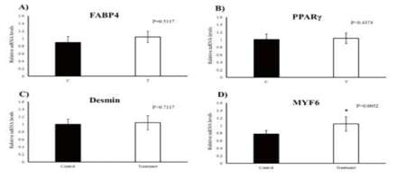 Results for mRNA expression levels of (a) fatty acid binding protein 4 (FABP4, (b) peroxisome proliferator activated receptor γ (PPARγ), (c) desmin, and (d) myogenic factor 6 (MYF6) in the skeletal muscle of Korean native steers (Study 2). See text for explanation of vitamin A supplementation level in the control (C, ■; n = 10) and treatment (T, □; n = 9) groups. Each mRNA expression value is presented as the mean ± s.e.m. *Significant at P ≤ 0.05