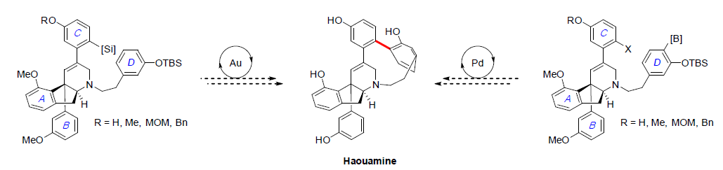 Haouamine A 전합성 연구 계획