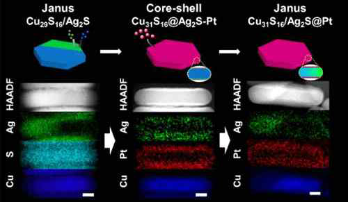 야누스 나노입자가 합성되는 과정을 도식화한 그림과 원소 분포를 보여주는 STEM-EDS 원소 매핑 결과