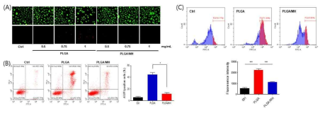 고분자 유래 산성 분해산물에 의한 세포 사멸과 염기성 수산화마그네슘 첨가에 의한 (A)세포사멸 억제 효과, (B) 유세포 분석기 및 (C) 형광광도계를 통한 ROS의 정량적 분석