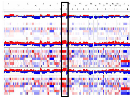 방사선 유발 육종 샘플들의 Genome-wide somatic copy-number alteration (SCNA) 프로파일. 8번 염색체 부위에서 공통적으로 frequent genetic gain 이 보임. (검은 사각)