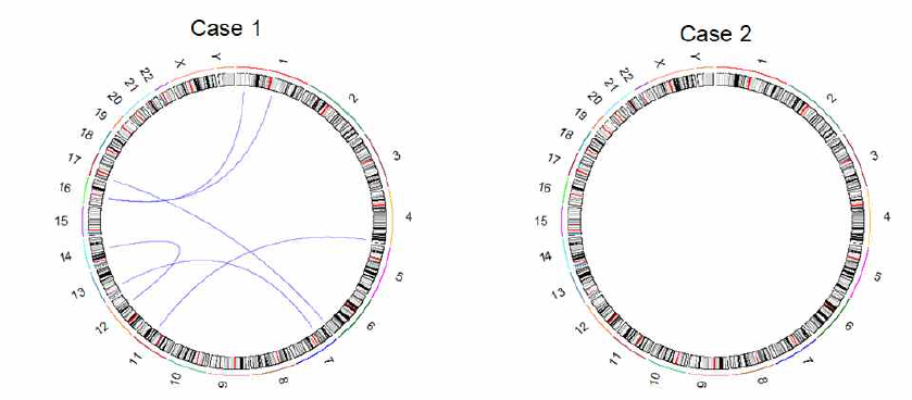 Lumpy를 이용한 Interchromosomal translocation 분석