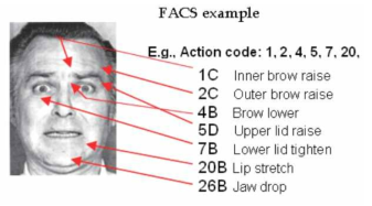 Facial Action Coding System 데이터의 구조