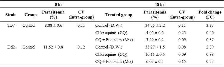Pf3D7과 PfDd2의 증류수, 클로로퀸 및 클로로퀸-후코이단 복합처리 48 시간 후 기생충혈
