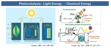 광촉매 개념도